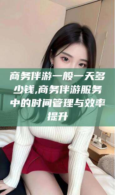 日喀则商务伴游一般一天多少钱,商务伴游服务中的时间管理与效率提升